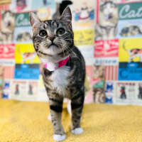 Photo of Taylor   Located In Preston