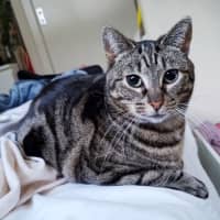 Photo of Thelma Sta012466