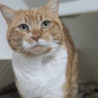 Photo of 🍝 Maccaroni 6402 🍝