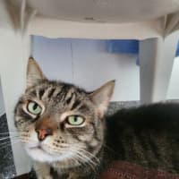 Photo of Princess And Skittles