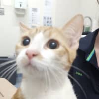 Photo of Samwise