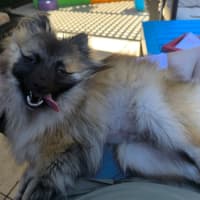 Photo of Whimsy