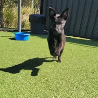 Photo of Tilly