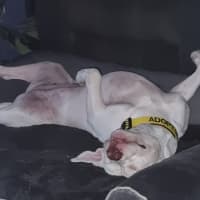 Photo of Whisky
