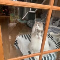 Photo of Sullivan And Theodore