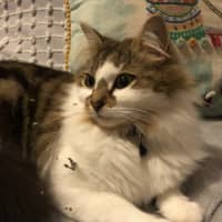 Photo of Hazel