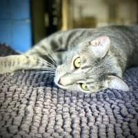 Photo of Timmy