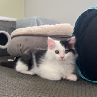 Photo of Maxie