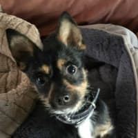 Photo of Ernie (8988)