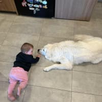 Photo of Luna *9 Lives Project Rescue*