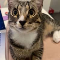 Photo of Conrad & Jeremiah