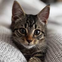 Photo of Coco 