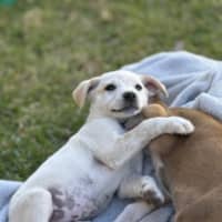 Photo of Cleo