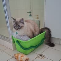 Photo of Sailor