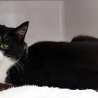 Photo of Blair Sta013121