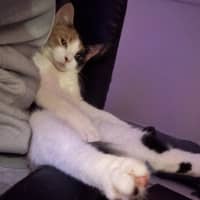 Photo of Maya & Morgan🌻🌼