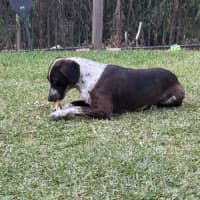 Photo of Hershey