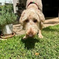 Photo of Marshall Uffelman