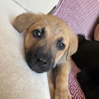 Photo of Churro