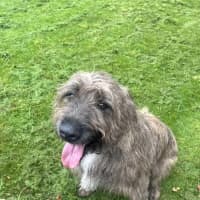 Photo of Murphy