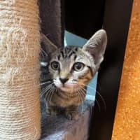 Photo of Maggie