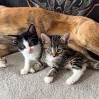 Photo of Harold & Gunther