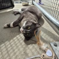 Photo of Mary! 🕊️