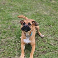 Photo of 🌹 Rose 6167 🌹