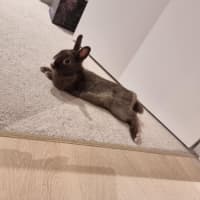 Photo of Colby
