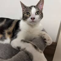 Photo of Charlie
