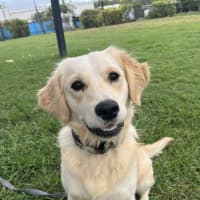 Photo of Bentley