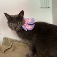 Photo of Mimi
