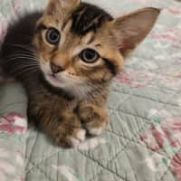 Photo of Monty