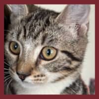 Photo of Plum