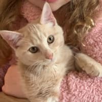 Photo of Carter 😸🧡🐈😽