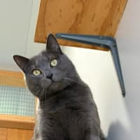 Photo of Norbert