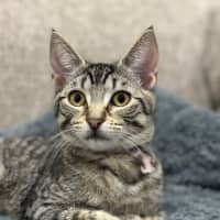 Photo of Elizabeth
