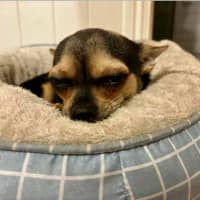 Photo of Beanz And Leo