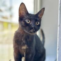 Photo of Minky