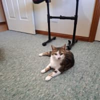 Photo of Little Girl