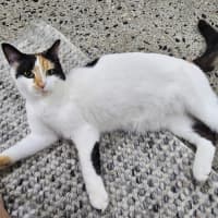 Photo of Mitzi