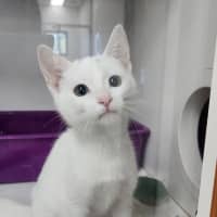 Photo of Thelma & Louise