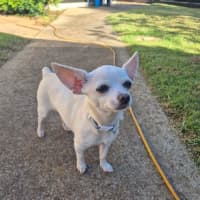 Photo of Shirley