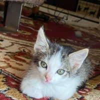 Photo of Jasper