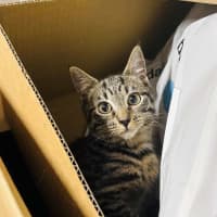 Photo of Beans   Located In Northcote