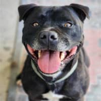 Photo of 🏈 Max 6706 🏈