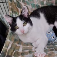 Photo of Maggie