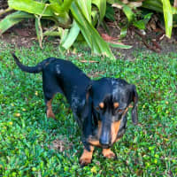 Photo of Hugo