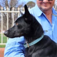 Photo of Gypsy