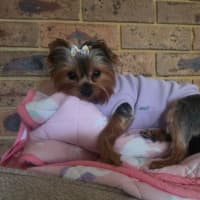 Photo of Molly